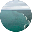 Muhammad profile picture